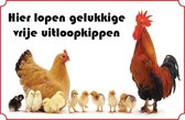 Bord Kippen - hier lopen gelukkige kippen