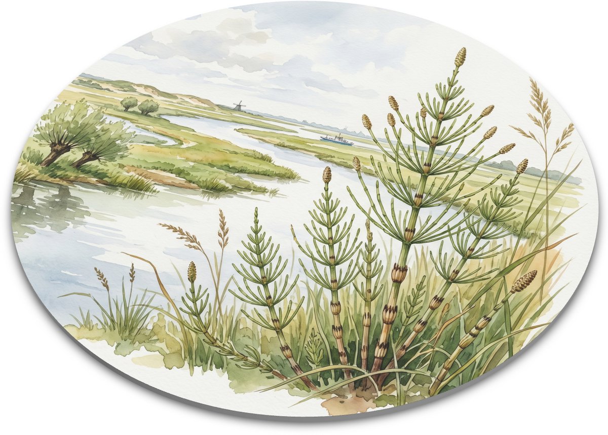 Ronde muismat vertakte paardenstaart aquarel illustratie met groene stengels, moerasgras en rivierlandschap voor botanisch bureau, werkplek of cadeau voor natuurliefhebber 22x22 cm