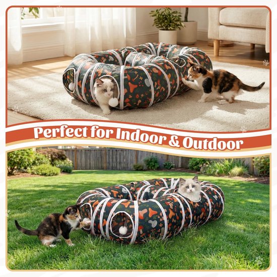 Kittens spelen in een kattenspeeltunnel met paddenstoelprint, binnen en buiten.
