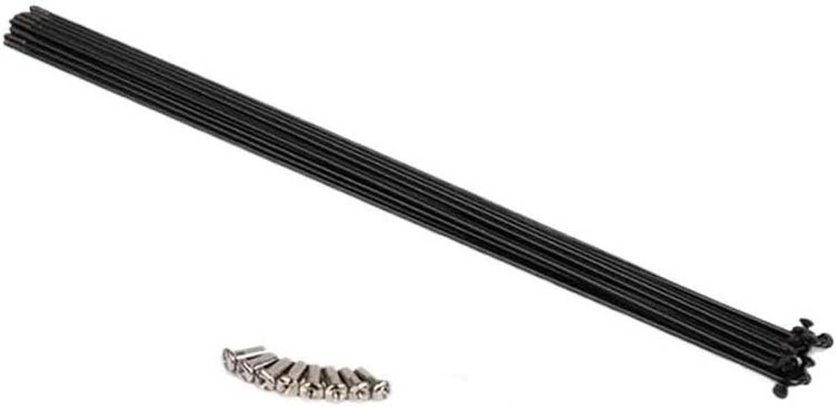 Fiets Spaken - Fietsonderdelen - Wiel Reparatie - Roestvrij Staal - 300mm 5 stuks - Zilver