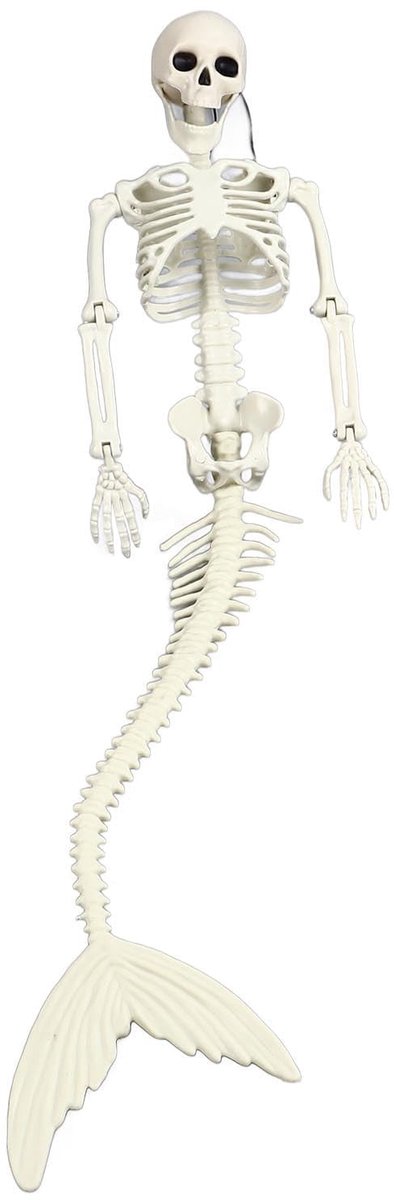 Zeemeermin skelet decoratie voor Halloween feest in levensgroot formaat met beweegbare gewrichten.