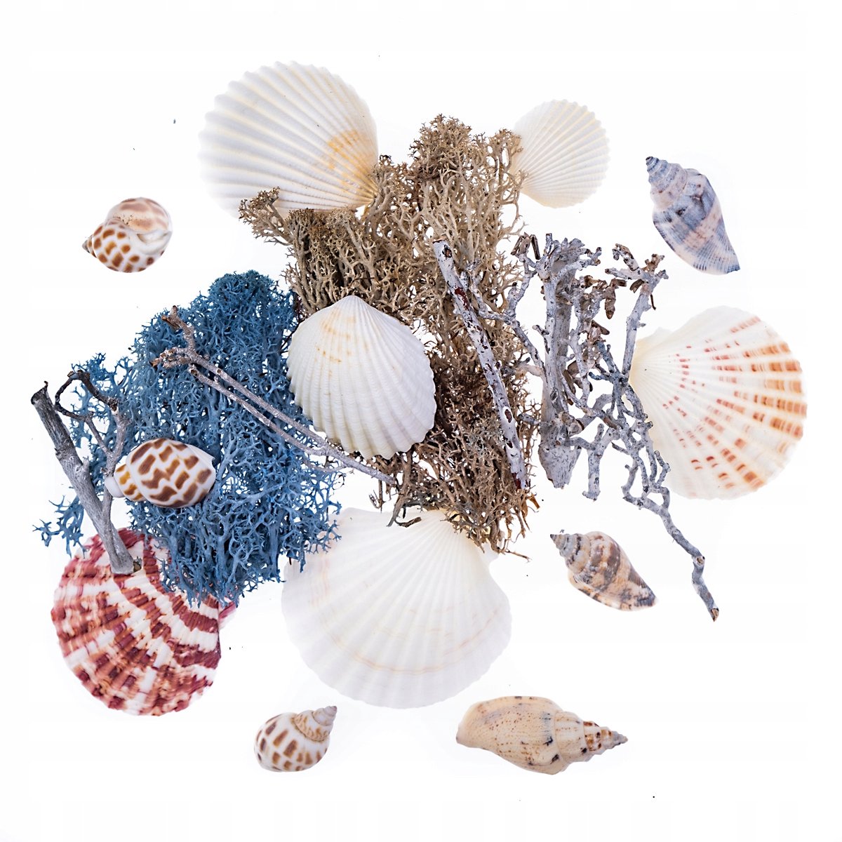 DpCraft Natuurlijke Decoratie Mix 75g - Maritiem Thema