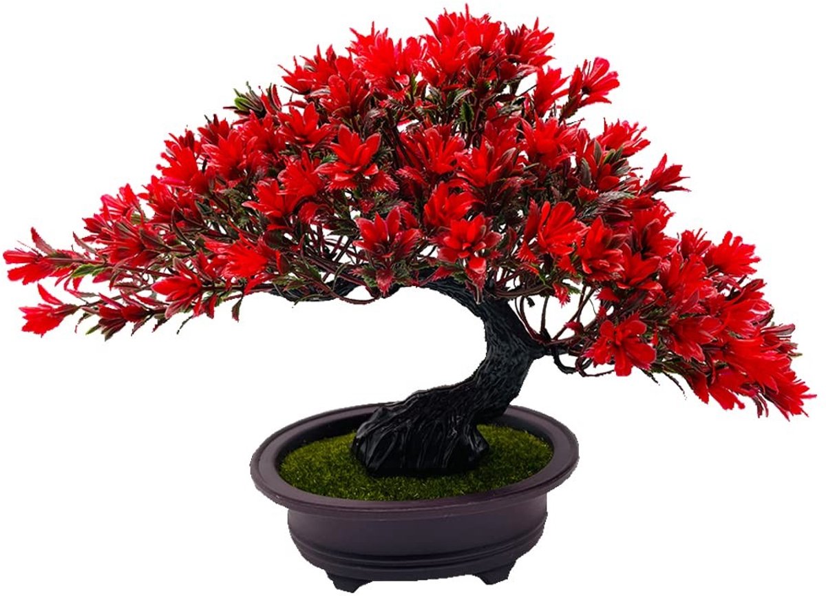 Dailygoods- Jeneverbes Kunstmatige Boom - Realistisch - Decoratieve Kunstbomen - Nepplanten - Thuiskantoor/Woonkamer Decor - Onderhoudsvrij - Bonsaiboom