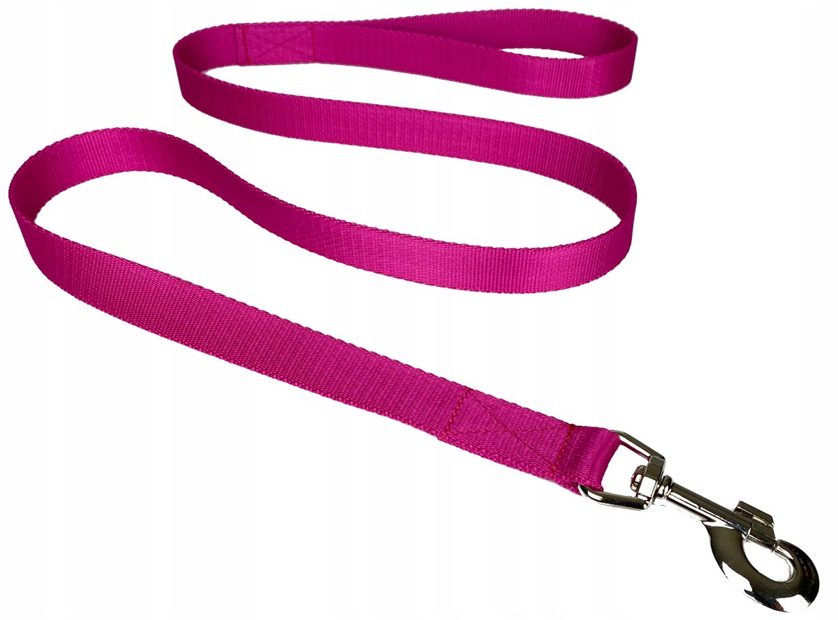 Hondenlijn 140 cm / 25 mm - Sterke Polipropyleen Band - Fuchsia