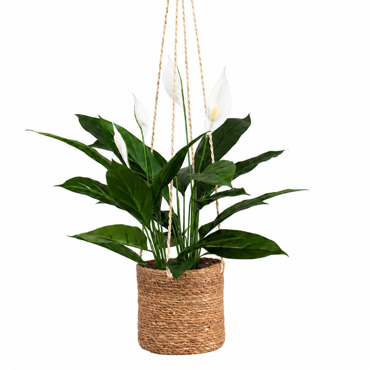 HTT Decorations Kunstplant Spatiphyllum in hangmand naturel L100cm Groen