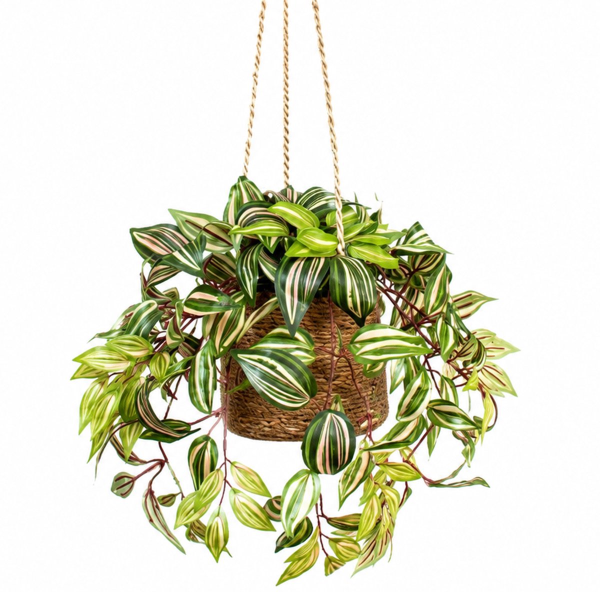 HTT Decorations Kunstplant Tradescantia in hangmand naturel L110cm