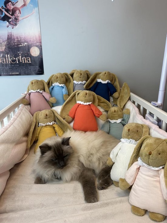 Knuffel Konijn - Zacht Pluche - Baby Geluksmoment - Verwijderbare Muziekdoos - 25 cm - Ivoor — afbeelding 3