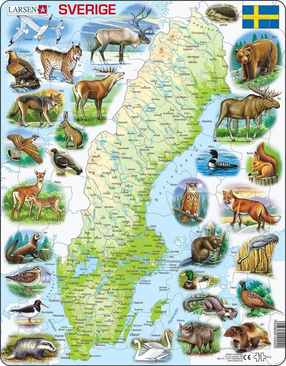 Fysieke Kaart Puzzel - Zweden Legpuzzel - Geografie Leren - Contour & Figuur Stukken - 71 Stukjes - Meerdere Kleuren