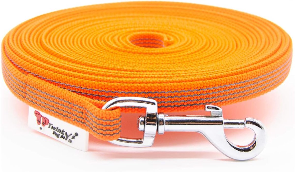 Hondenlijn Sleeplijn - Lange looplijn - Hondentraining - Antislip rubber - 10 meter - Oranje