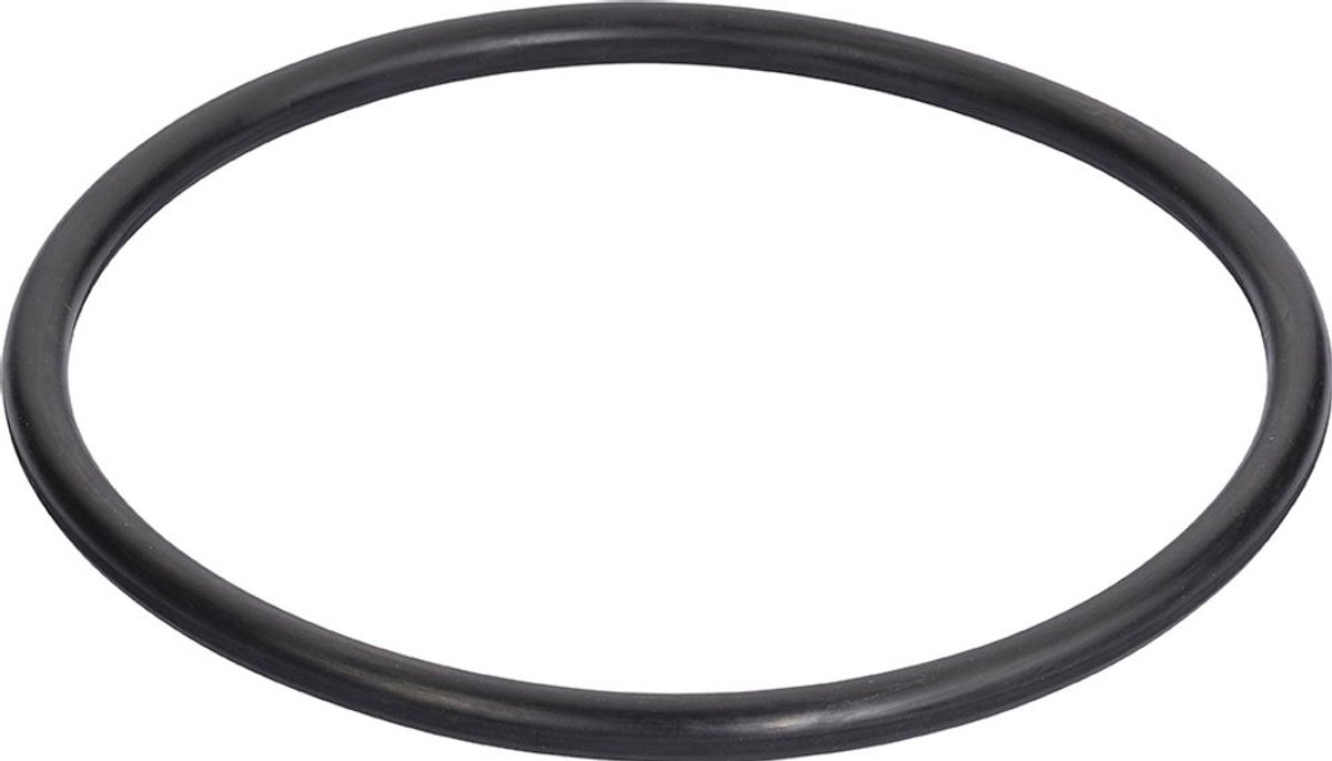 Grünbeck O-ring voor deksel voor GENO-Fijnfilter FM (KW + WW), 87003320
