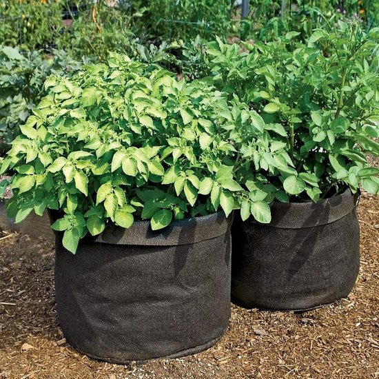 6x Plantenzakken van Vliesstof 11L - Ademende Stoffen Potten met Handvat voor Planten en Wortelgroenten van Merkloos	 — afbeelding 2
