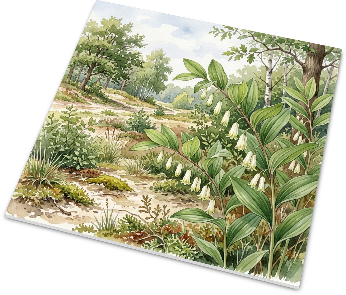 Tegeltje met Welriekende Salomonszegel Polygonatum odoratum - Aquarel Illustratie in Neder