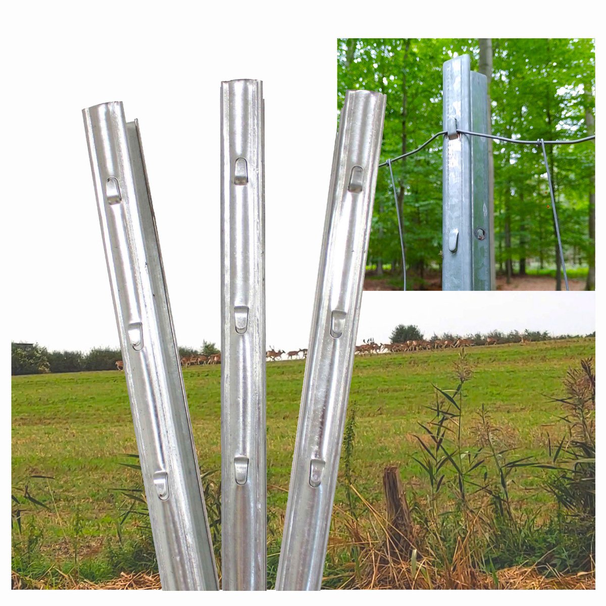 TRUTZHOLM 30x Z-Profiel Afrasteringspaal 215 cm - Gegalvaniseerd - Bosprofiel Wildrasters incl Haken Wildpaal Set