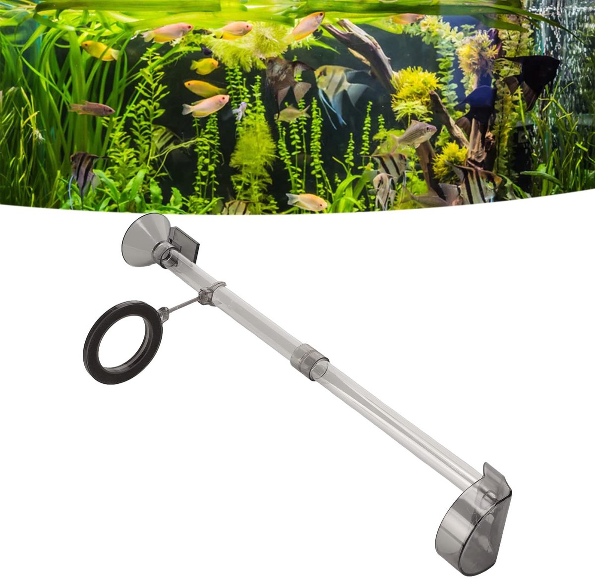 Dailygoods- Garnalen Feeder Multifunctioneel Ontwerp - Voederring - Aquarium Voeden - Eenvoudige Installatie - Geschikt voor Zoet- en Zoutwater - Plastic Materiaal