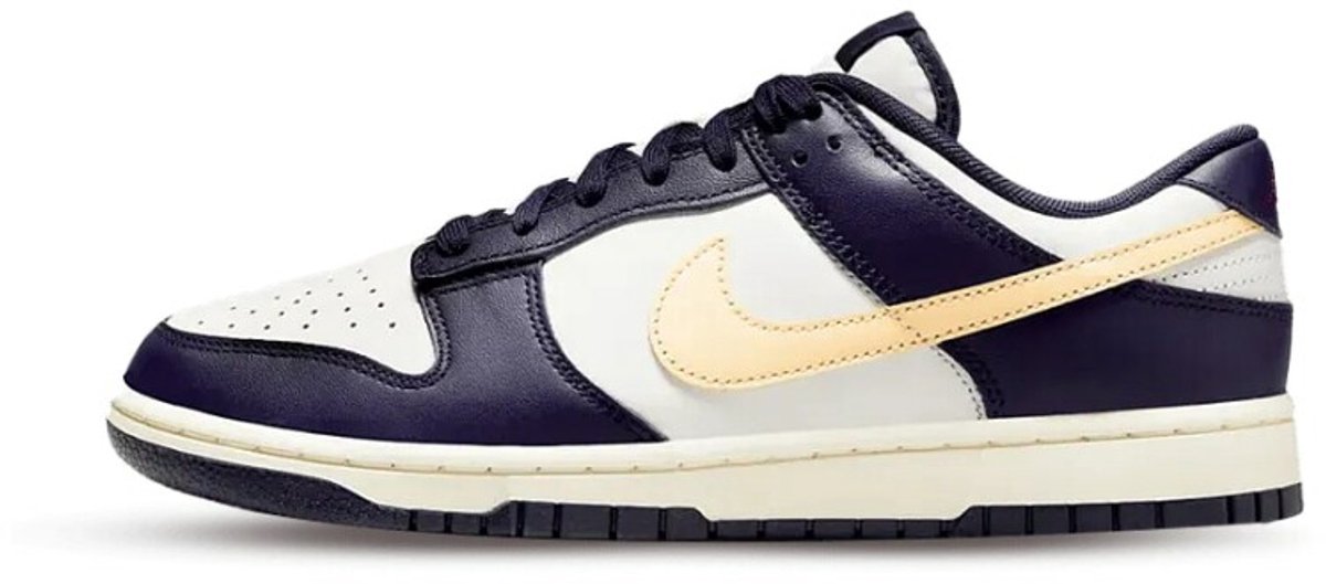 Nike Dunk Low Retro Sneakers Unisex Blauw
