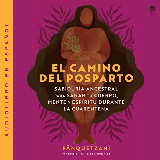El camino del posparto - cover