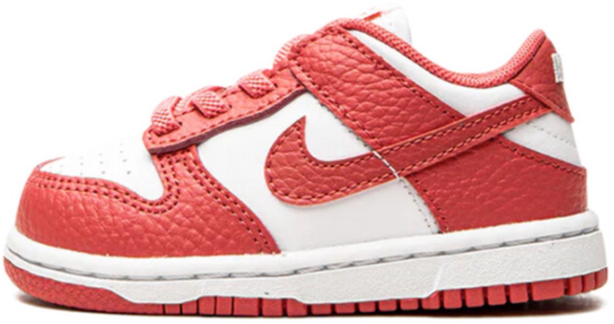 Nike Dunk Low Archeo Multikleur
