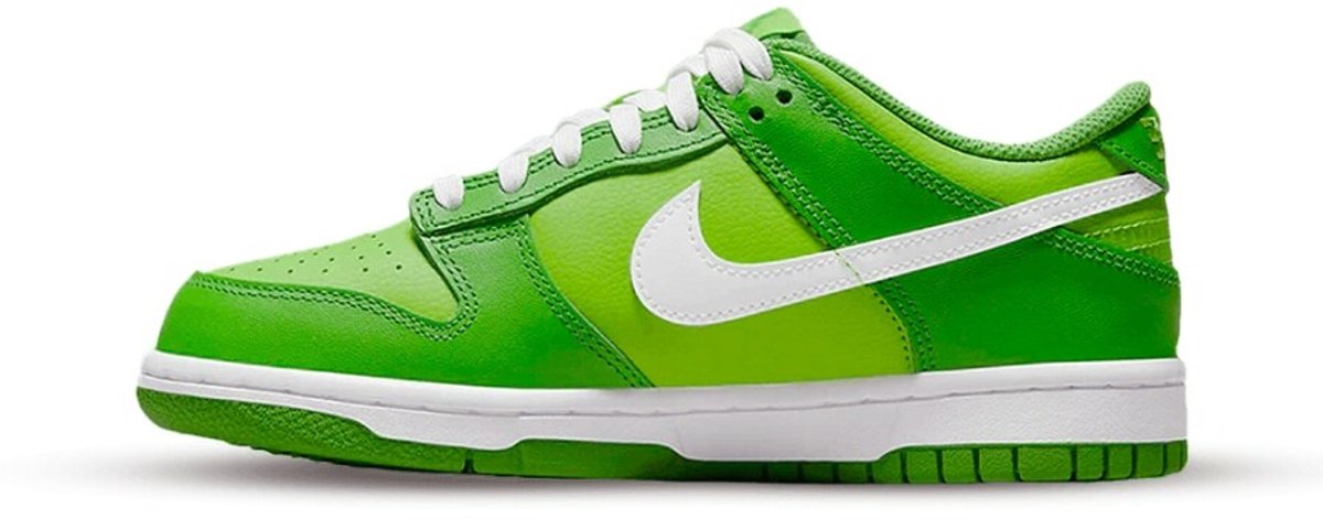 Nike Dunk Low GS ‘Chlorophyll’ Sneakers Unisex Wit