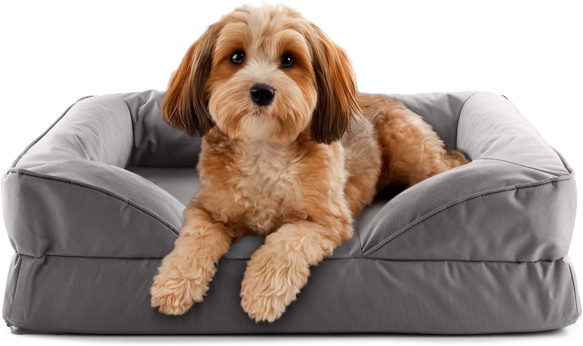 Lumaland orthopedisch hondenbed voor binnen en buiten | ergonomische hondensofa 70x60 cm – ideaal voor kleine honden | antislipbodem | vulling en hoes wasbaar | waterdichte hondenmand