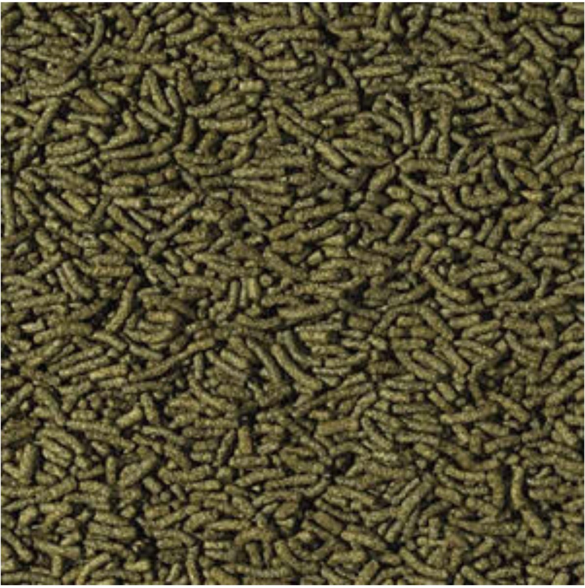 Oswalt - Cichlide Sticks Spirulina - 2.5 Liter - Aquariumvissenvoer