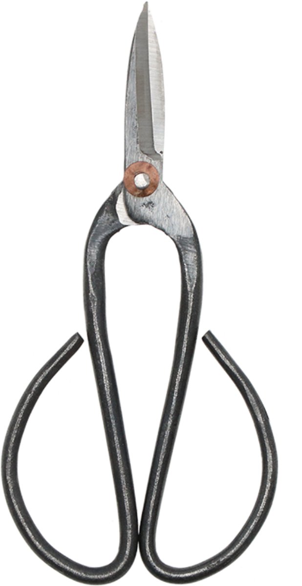 Bonsai shears L - 19 cm - Bonsai tool - Snoeischaar