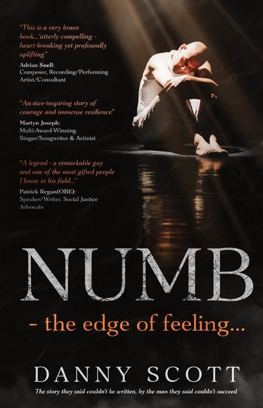 Numb - the edge of feeling - cover