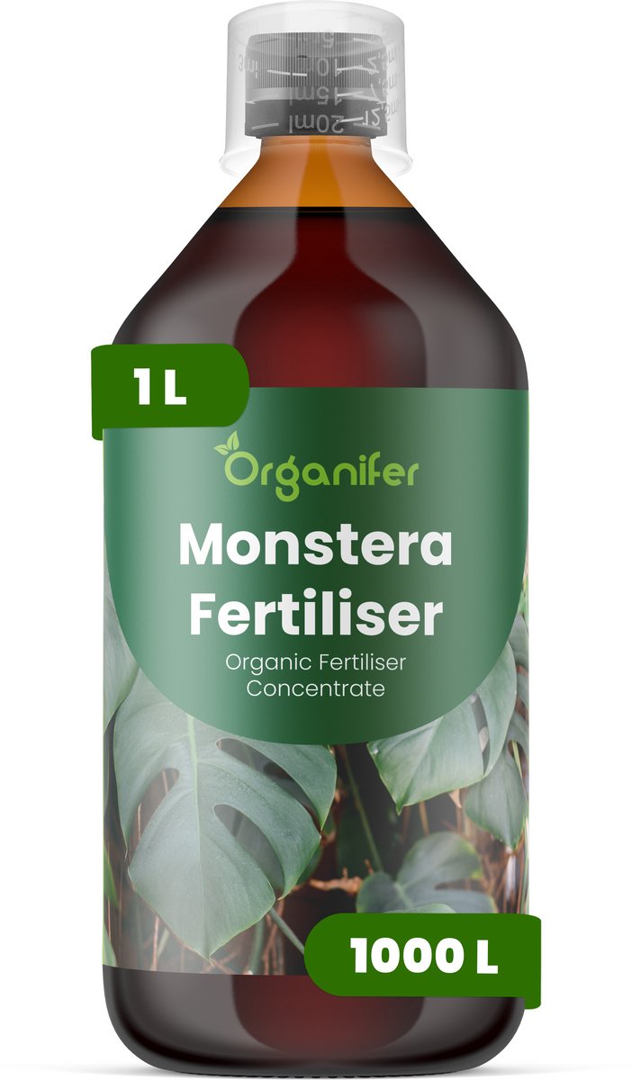 Vloeibare Meststof Voor Monstera 1 L Voor 1000 L - Npk 3-4-3 - Ondersteunt Krachtige Tropische Groei Bij Alle Monstera - Versterkt Het Wortelstelsel En Ondersteunt De Vitaliteit Van Luchtwortels - Ondersteunt Langdurige Gezondheid - Organifer
