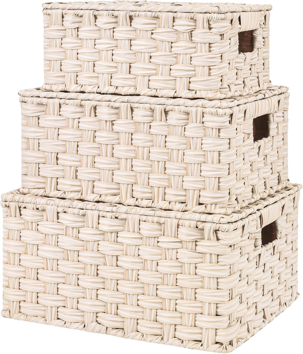 Opbergmand set van 3 decoratieve opbergdozen - manden met deksels - opbergbakken - Wit