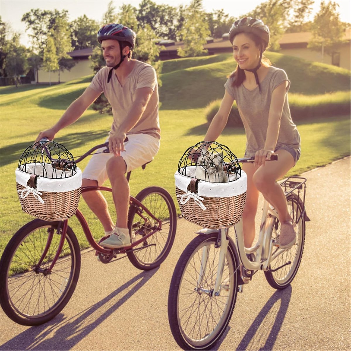 Fietsmand Huisdier - Reismand - Huisdier Vervoeren - Robuust Riet Weven - 30x25x30 cm - Bruin