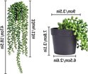Dimensions de la plante verte retombante : hauteur 47 cm, diamètre du pot 8.5 cm, hauteur du pot 8.3 cm.
