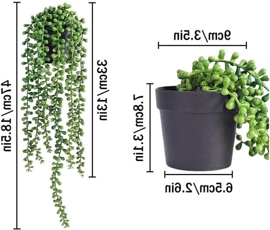 Dimensions de la plante verte retombante : hauteur 47 cm, diamètre du pot 8.5 cm, hauteur du pot 8.3 cm.
