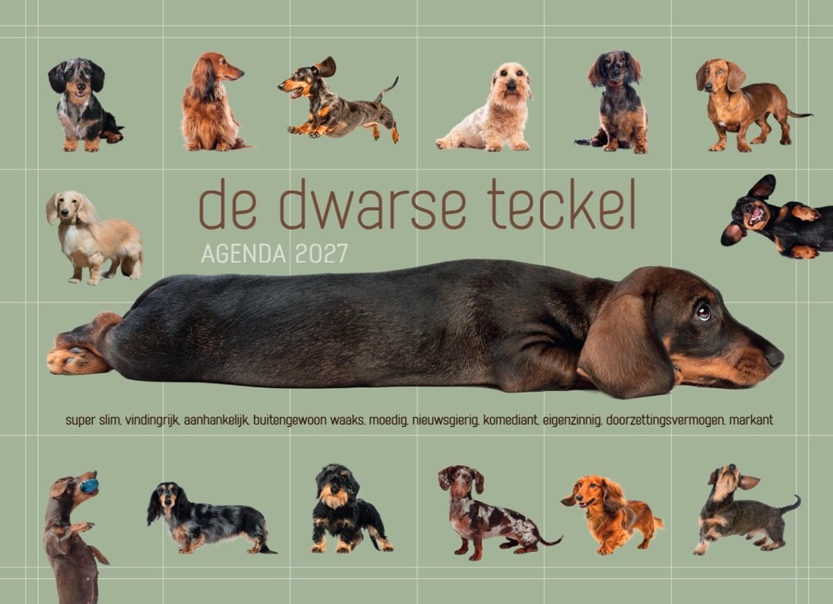 De Dwarse Teckel-agenda 2027