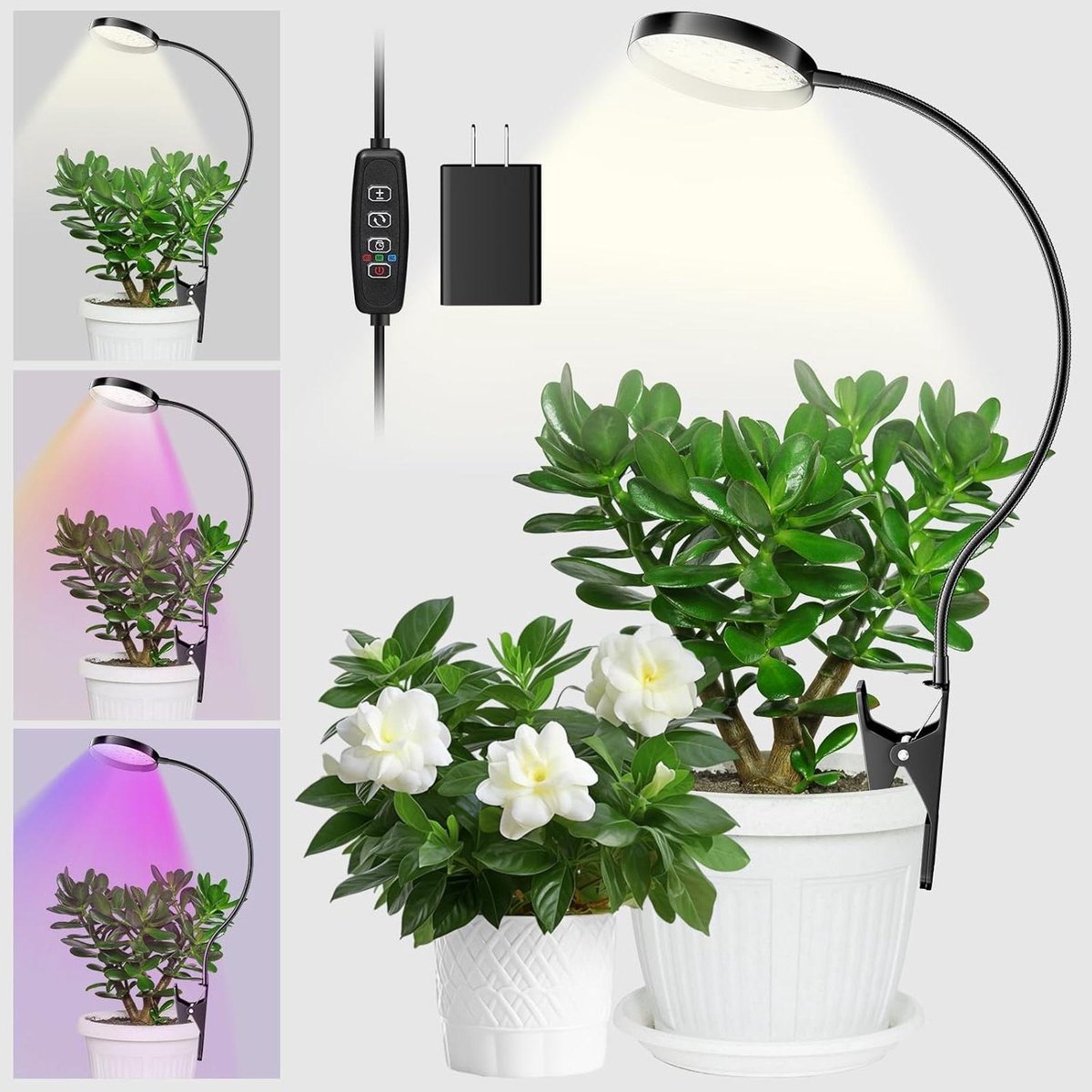 Plantenlamp met klem - Groeilamp binnen - Planten ondersteunen - Instelbare timer - 10 Watt - Zwart