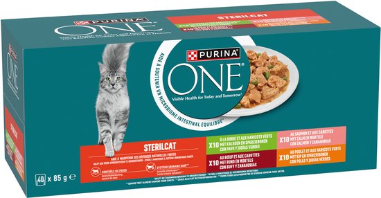 Pack Purina ONE Sterilcat de 40 sachets, avec un chat tigré gris et des gamelles de bœuf et carottes.