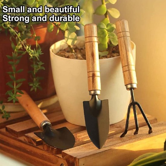 5 stuks - mini tuingereedschapset - mini tuingereedschap bonsai- mini tuin gereedschap setje - mini tuingereedschap set -tuingereedschap onkruidverwijderaar- mini tuin gereedschap - handig voor in de tuin - voor bloembakken, moestuin — afbeelding 4
