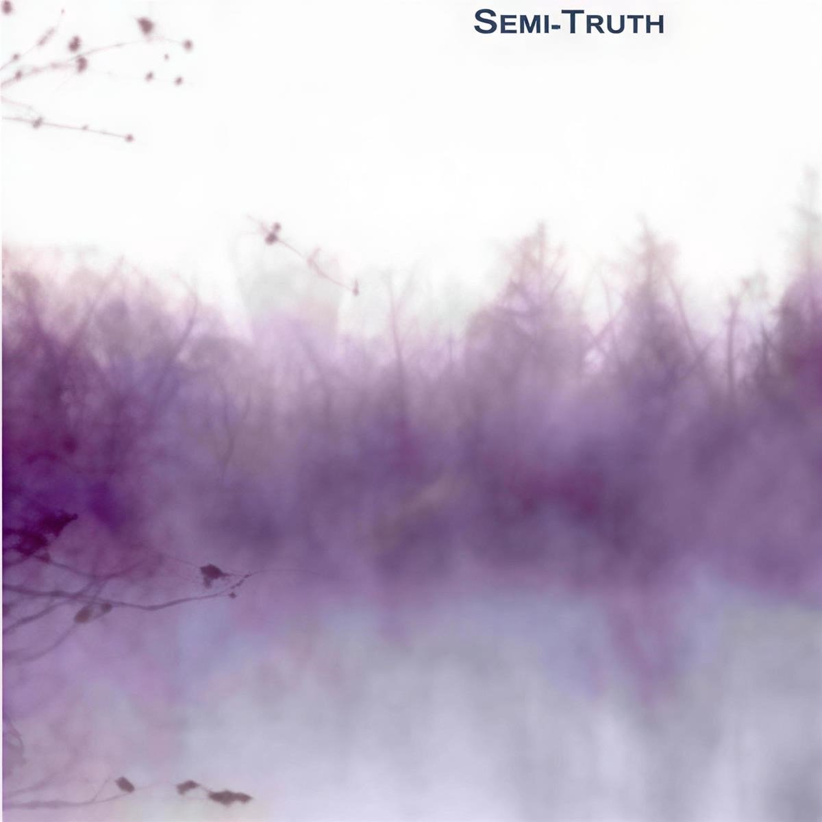 Semi-Truth - You Call (7" Single)