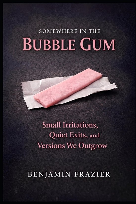 Dumpster Fire- Somewhere in the Bubble Gum - cover