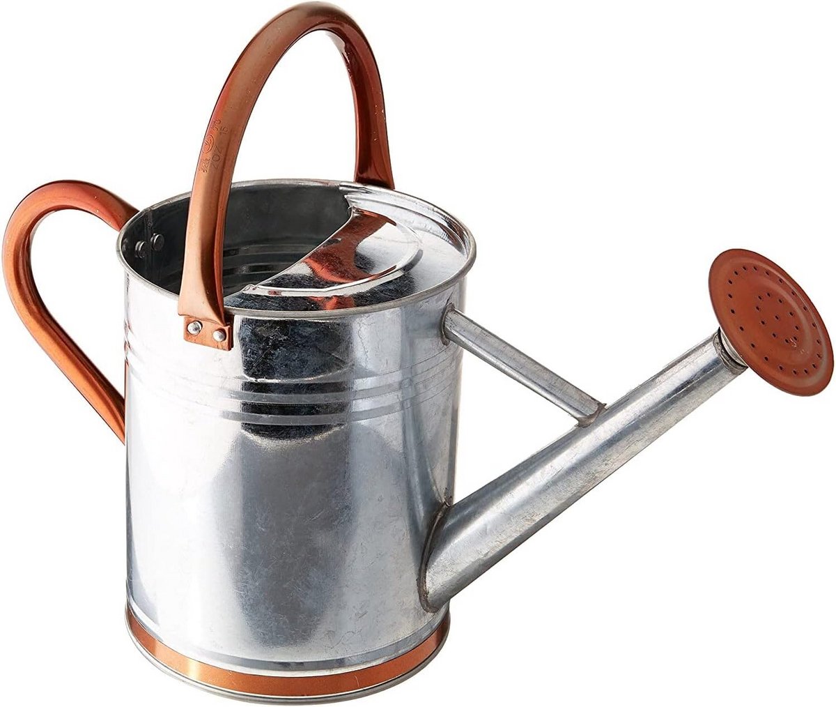 Gieter Staal - Waterkan Tuin - Planten Water Geven - Roestvrij Met Accent - 1 Liter - Zilver