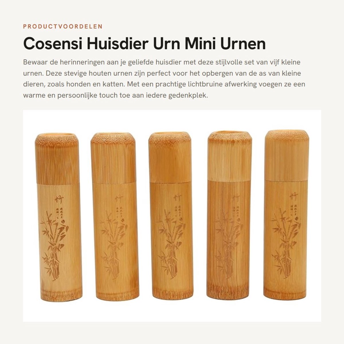 Dailygoods- Huisdier Urn 5 Stuks - Stevige Houten Urnen - Mini Verspreiding Crematie - As Bewaren - Herinneringsstuk - Voor Kleine Dieren