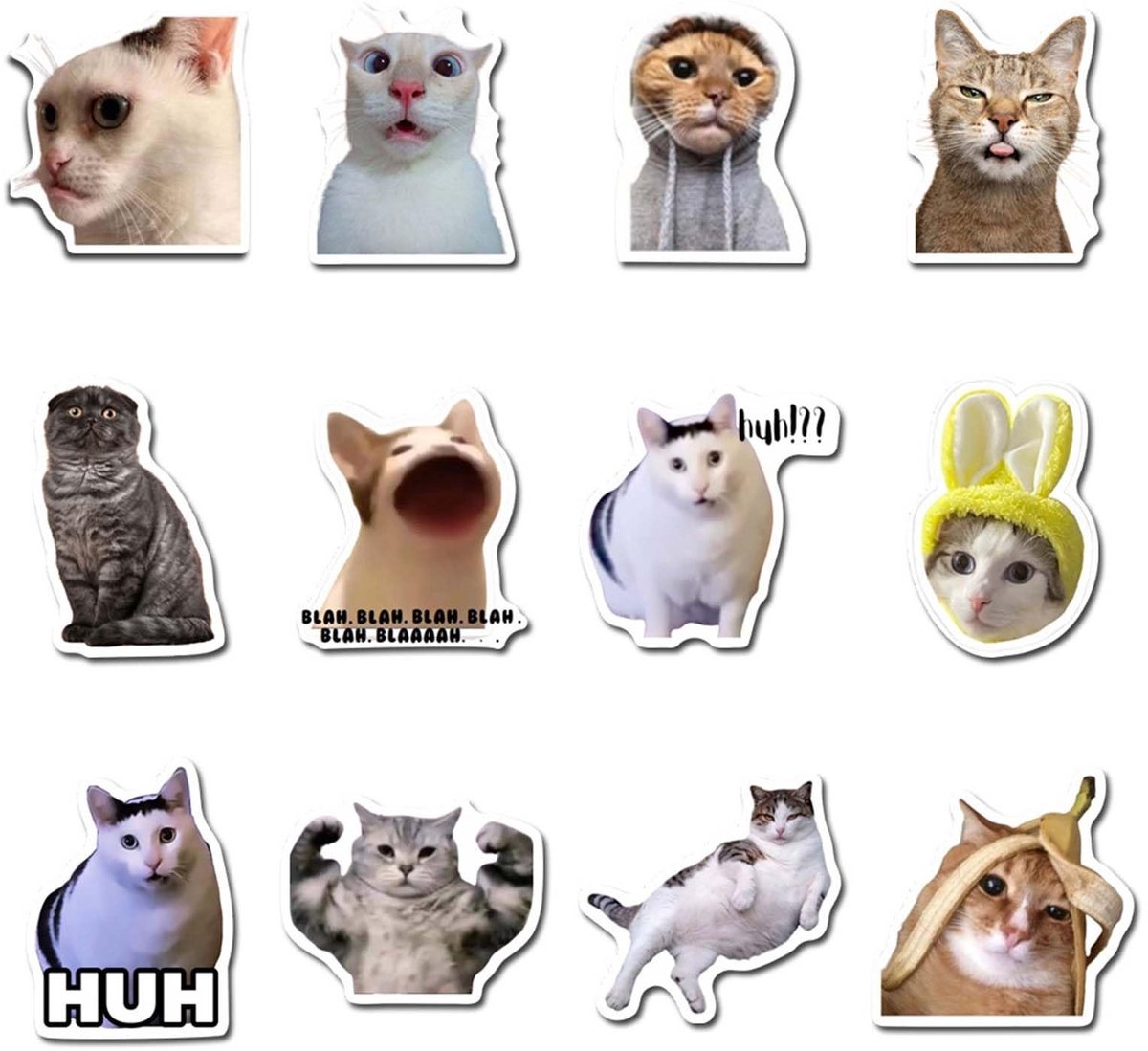 Dailygoods- Koelkastmagneten 12 stuks - Grappige Decoratieve Magneten - Sterke Zelfklevende Magneten - Voor Keuken/Kantoor - Herbruikbaar - Unieke Meme-Stickers - Decoratiemagneten