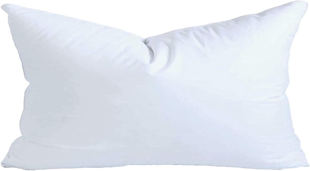 Kussen Vulling - Sierkussen Inzet - Decoratie Aanpassen - Hypoallergeen Dons Alternatief - 30 x 40 cm - Wit