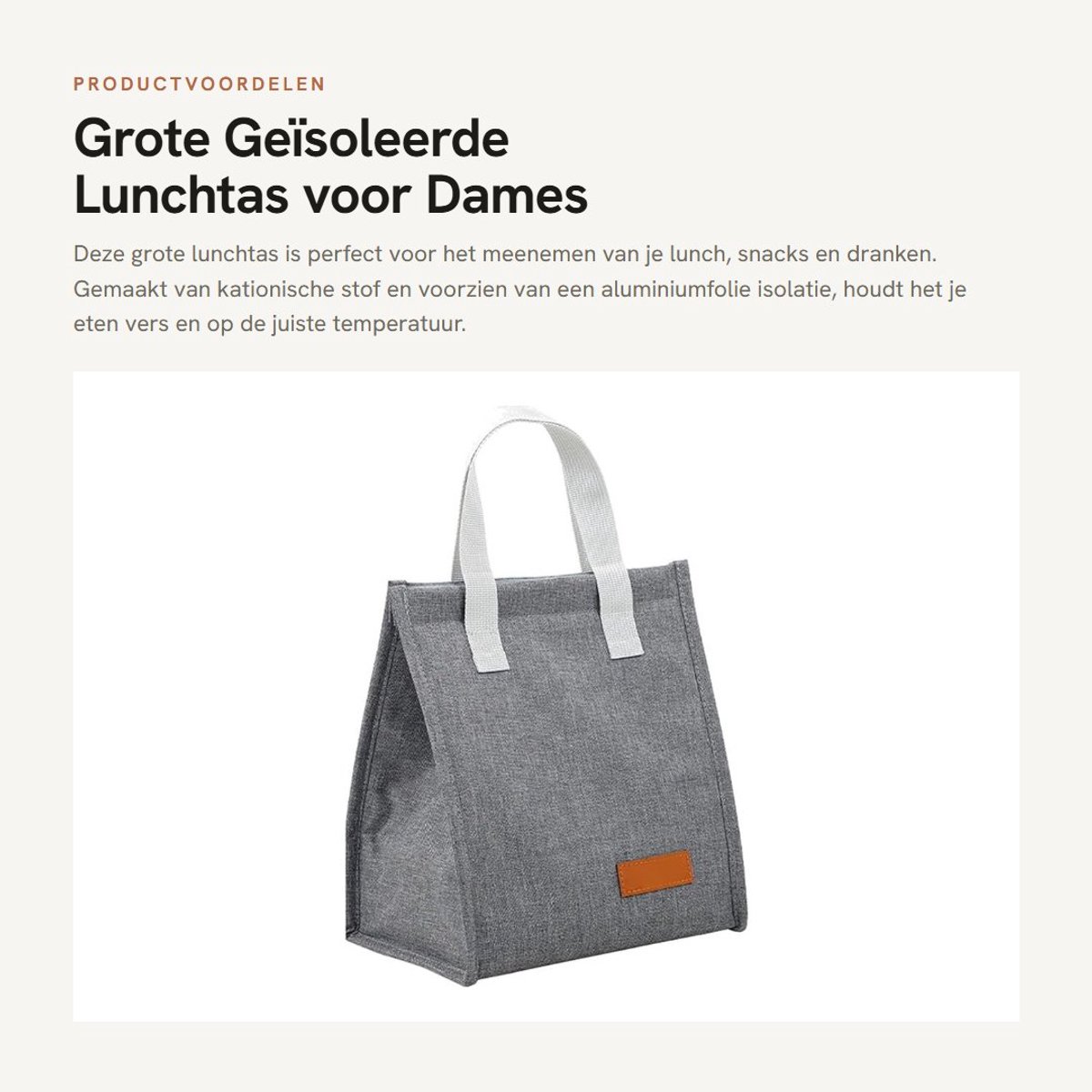 Dailygoods- Lunchtas Grote Capaciteit - Geïsoleerde Container - Kationische Stof - Waterdicht - Draagbaar Voedselpakket - Afmetingen 22x13,5x24 cm - Lunchbox