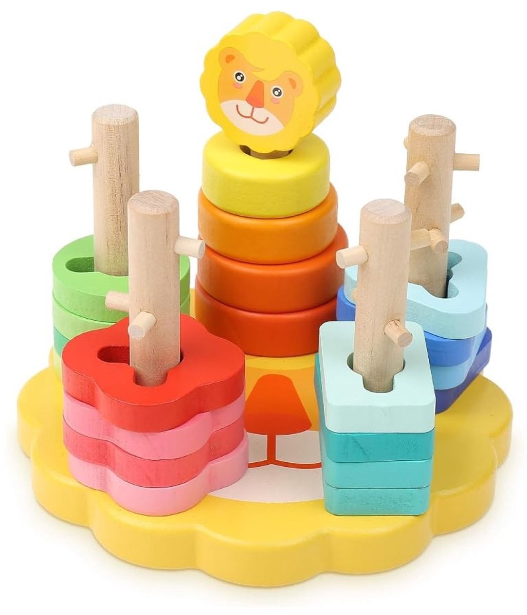 Dailygoods - Houten Stapelspeelgoed voor Kinderen - Educatief Speelgoed met Geometrische Vormen