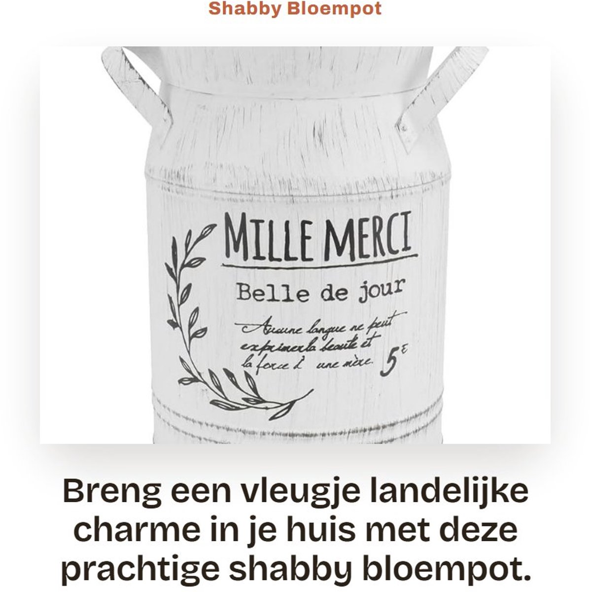 Dailygoods- Bloempot Retrostijl - Decoratieve Vaas - Metalen Kruik - Rustiek - Vintage - Hoogwaardig Materiaal - Plantenpot