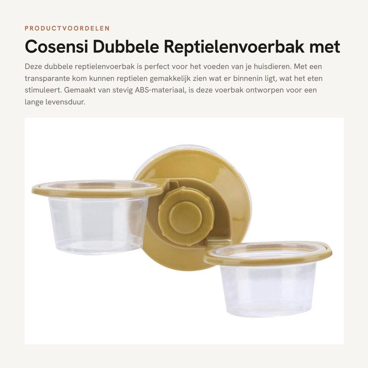 Dailygoods- Reptielenvoerbak met zuignap - Voederbak voor reptielen - Afdruiprek - Transparante kom - ABS materiaal - Duurzaam ontwerp