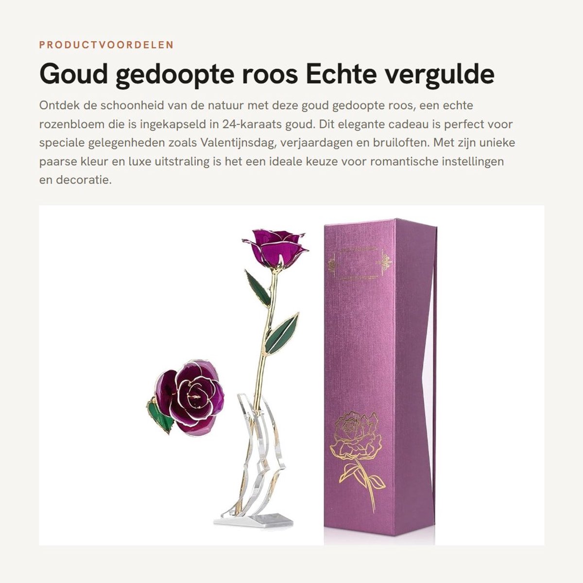 Dailygoods- Vergulde Roos 24K - Echte Bloem - Geconserveerde Rozenbloem - Cadeau voor Valentijnsdag - Bruiloft - Langdurig Behoud