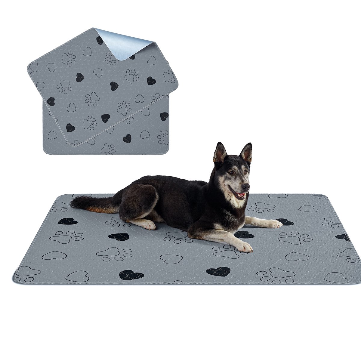 Feandrea - Trainingsmat - Uitloopvrij en Antislip - Voor Honden Katten Konijnen