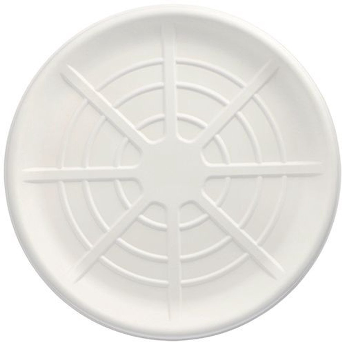 20x 3 Serveerschalen suikerriet pure rond Ø 47 cm wit voor Zeevruchten