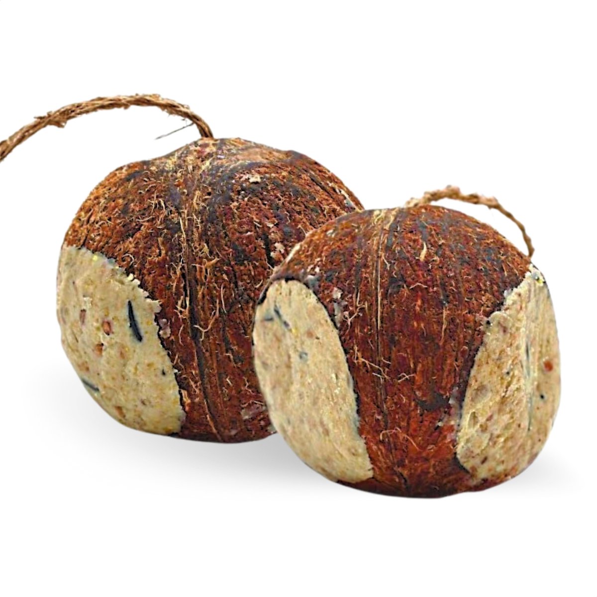 4 Lyra Pet® gevulde kokosnoten met gaatjes