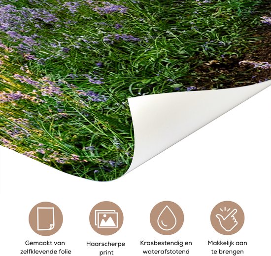Sticker pour porte Forêt - Fleurs - Lavande - Soleil - Violet - Nature - 80x205 cm - Affiche de porte